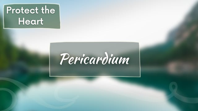 Full Body Flow- Pericardium - Protect...