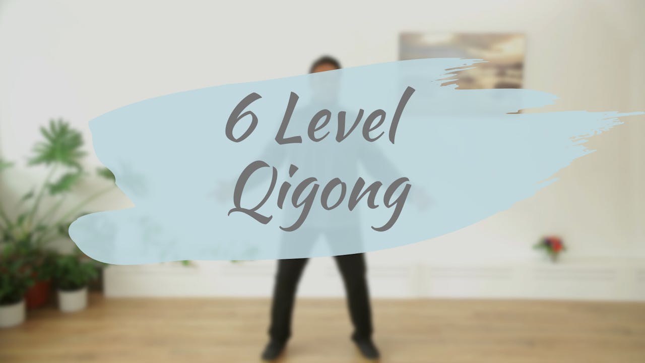 6 Level Qigong 15 Mins Short Practices All Routines Under 15 Mins