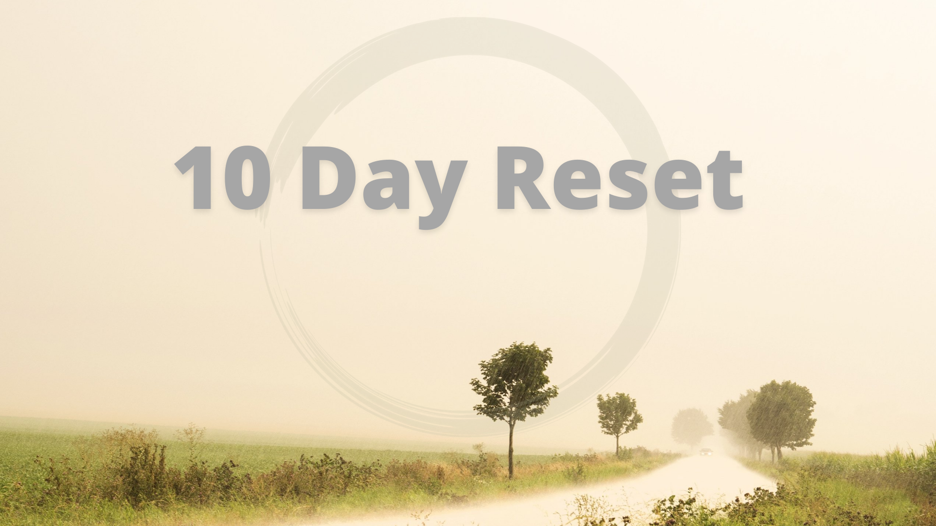 10 Day Reset