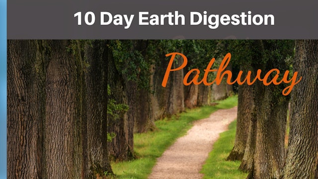 Digestion Earth 10 Day Pathway.pdf