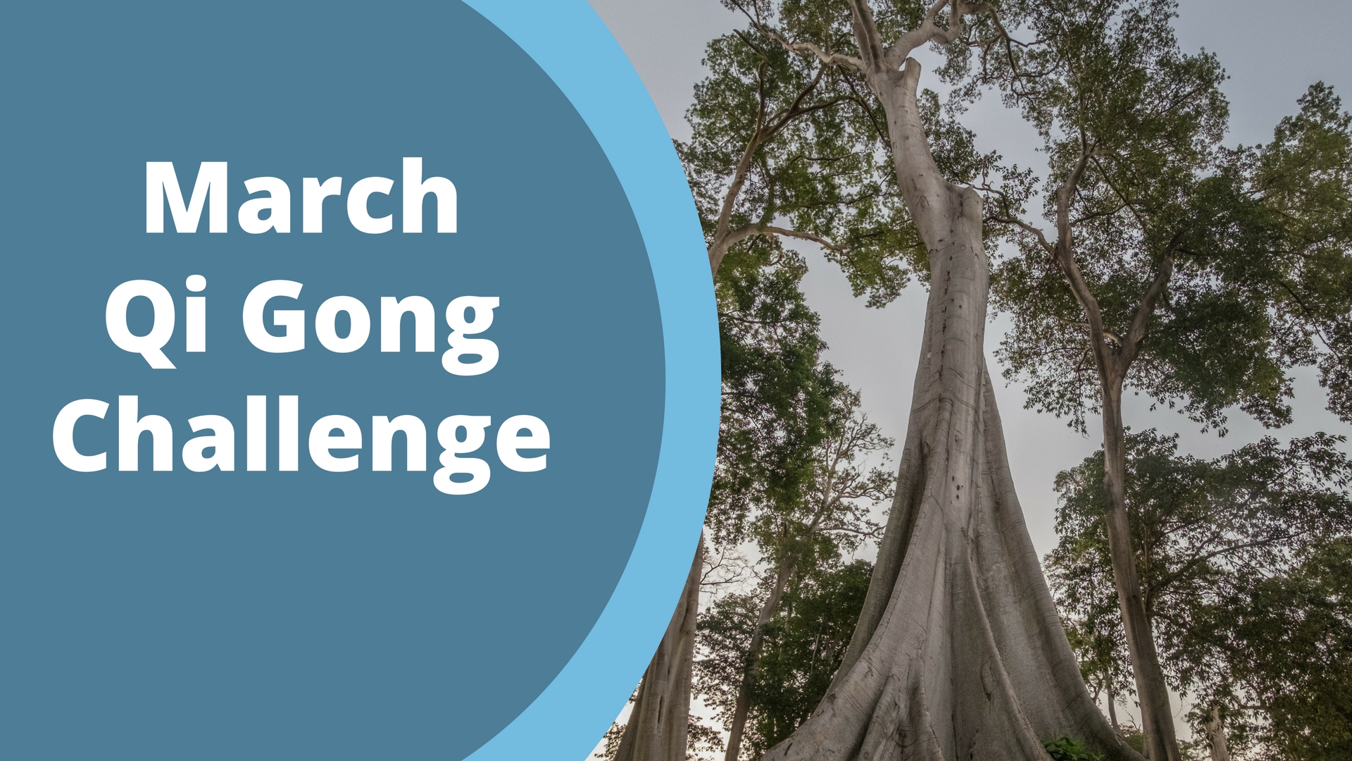 March Challenge (5 mins)