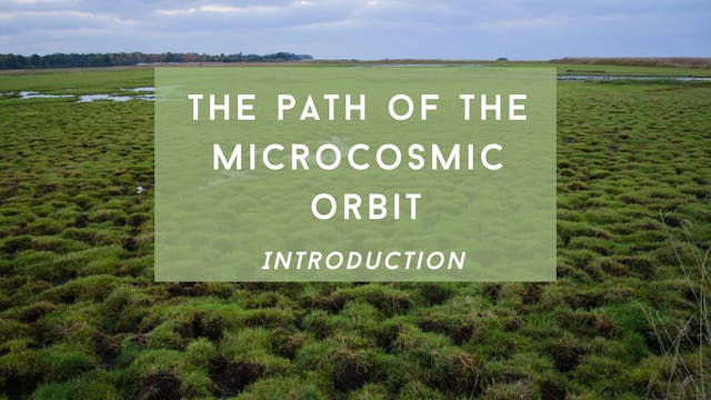 Microcosmic Orbit Routine Intro (5 mins)