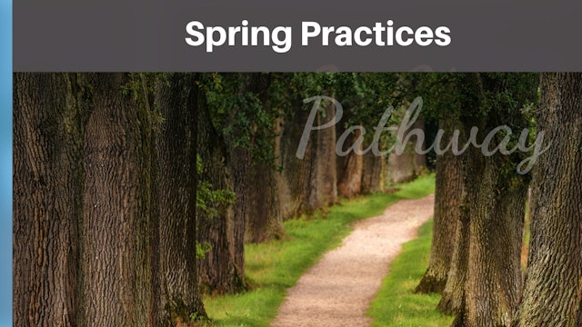 Spring Practices QiTSheet.pdf