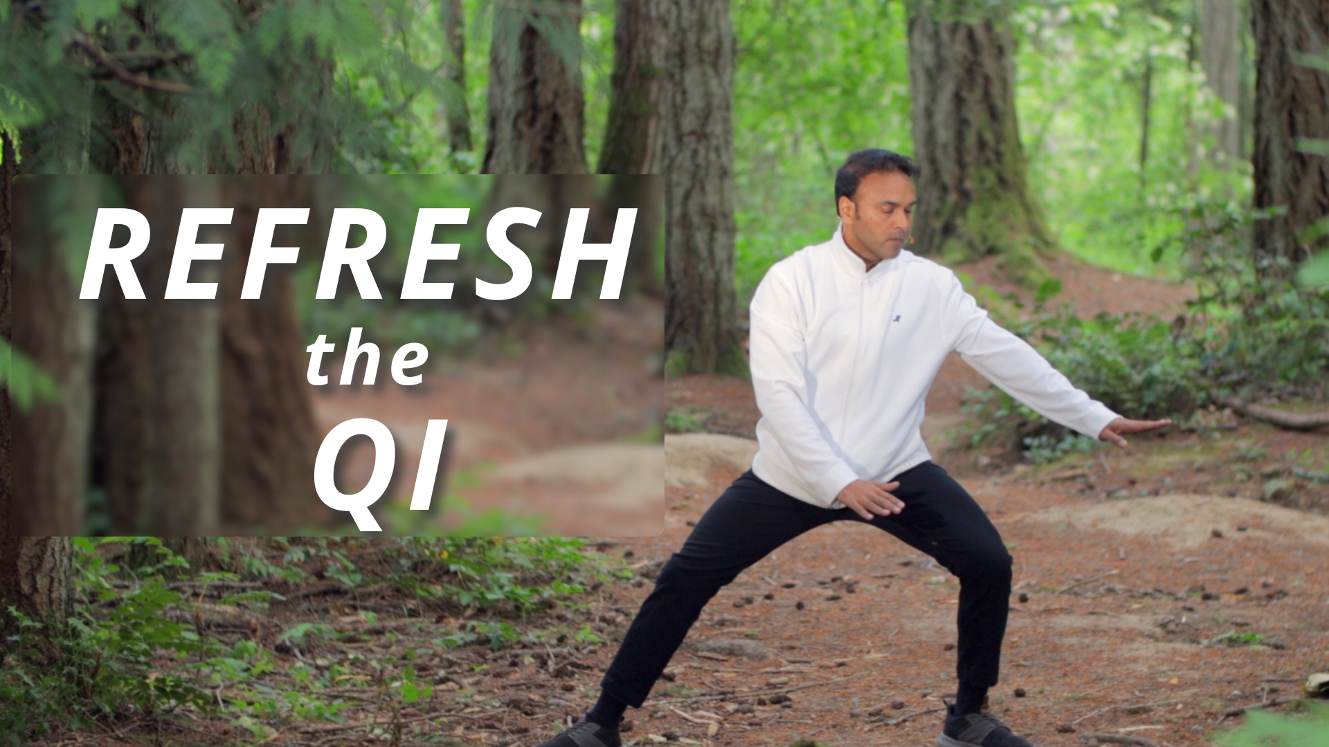 Refresh the Qi Series