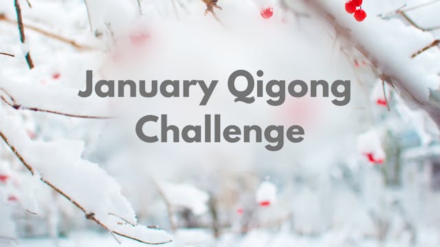 January Qigong Challenge (4 mins)