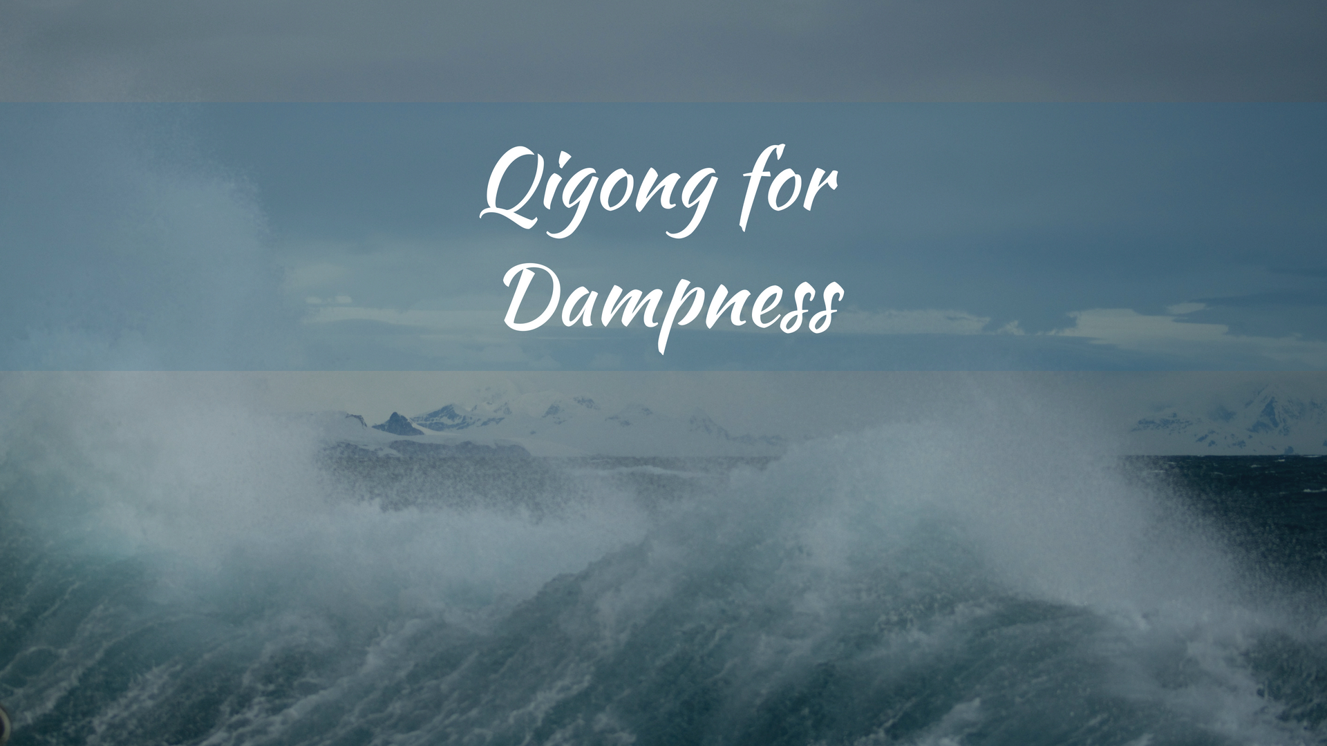 Dampness in Traditional Chinese Medicine (30 mins)