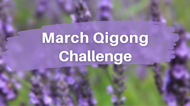 March Qigong Challenge (3 mins)