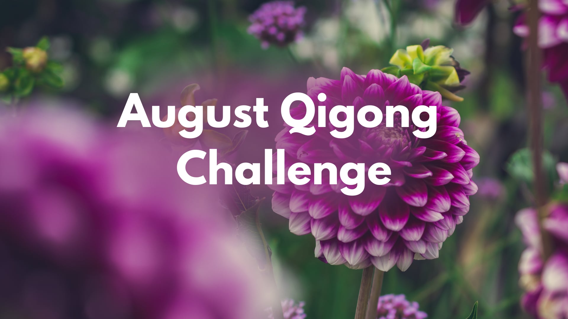 August Qigong Challenge