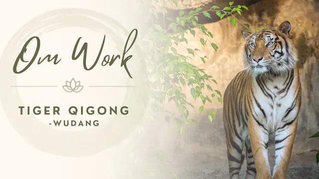 Tiger Qigong Series (5 mins)