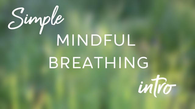 Simple Mindful Breathing Intro (4 mins)
