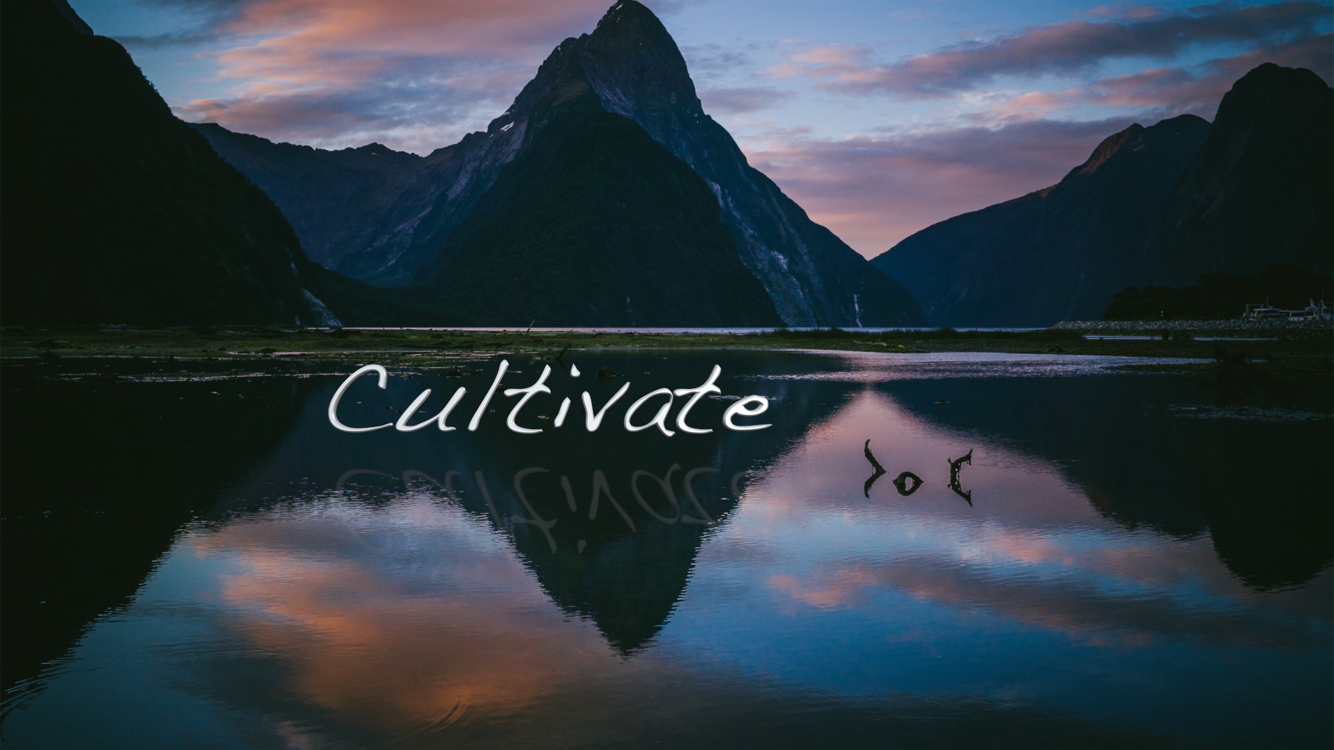 Cultivate - Seated Routine (17 mins)