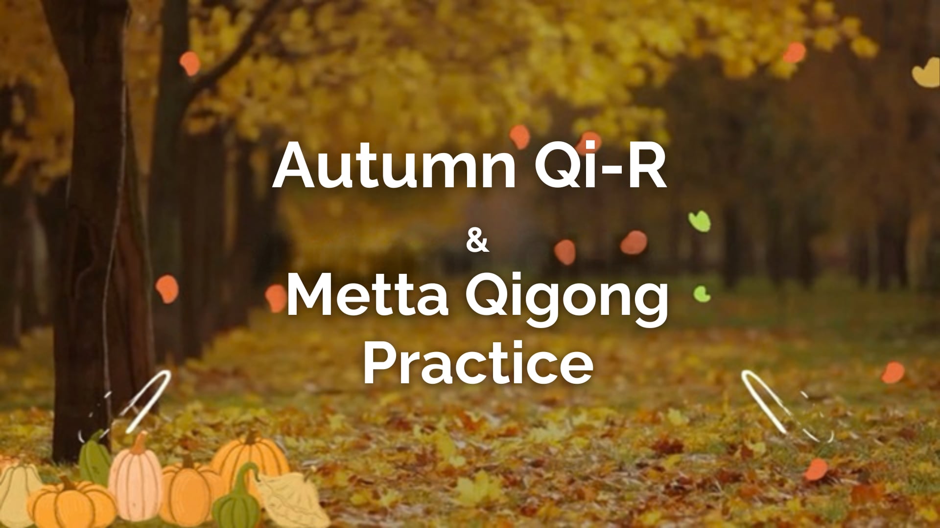 Autumn Qi-R and Metta Qigong (65 mins)