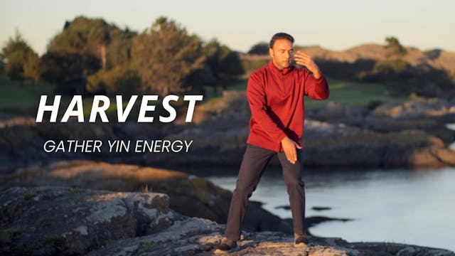 Harvest (26 mins)