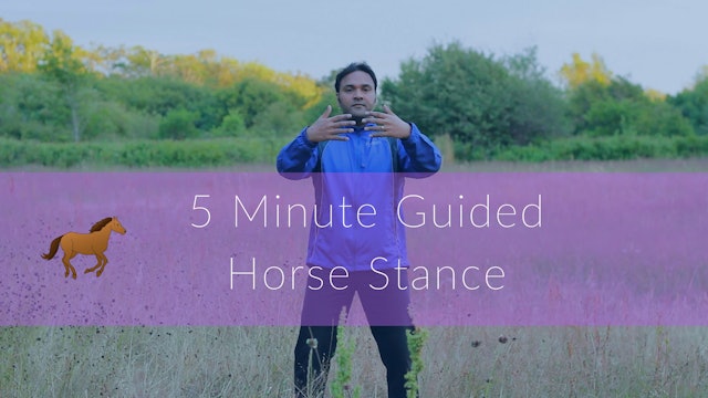 5 Minute Guided Horse Stance (5 mins)