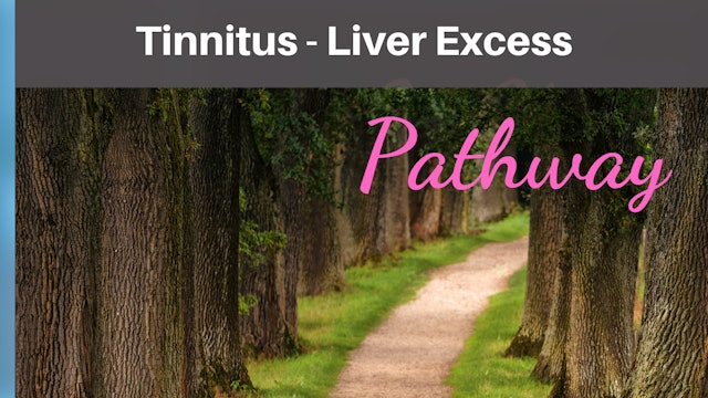Tinnitus Liver Excess Qi-T-Sheet