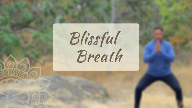 Blissful Breath (13 mins)