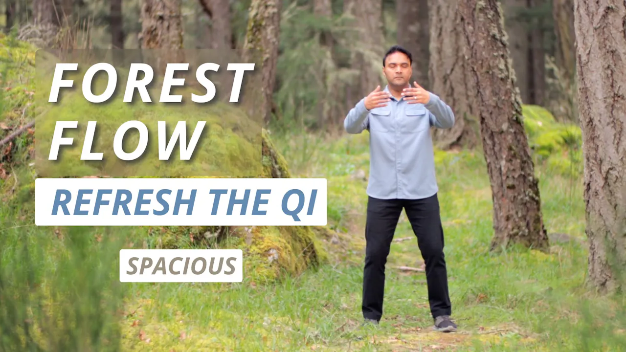 Forest Flow Spacious - Qi Gong for Vitality