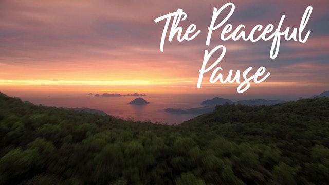 The Peaceful Pause (10 mins)
