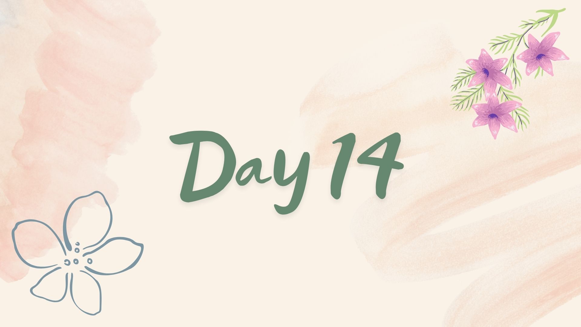 Day 14