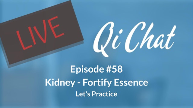 January Qi Chat - Kidney - Fortify Essence (90 mins)