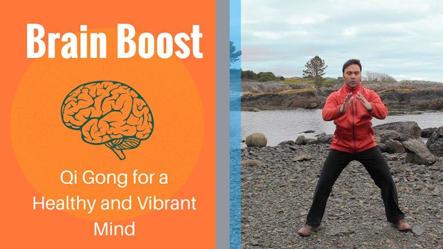 Brain Boost Qigong (25 mins)