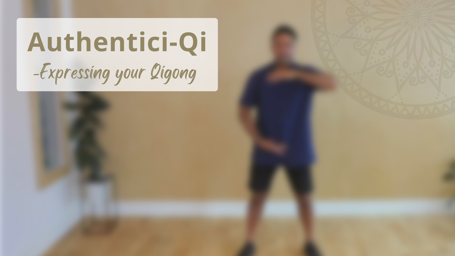 Authentici-Qi Routine (15 Mins) - Short Practices (all Routines Under ...