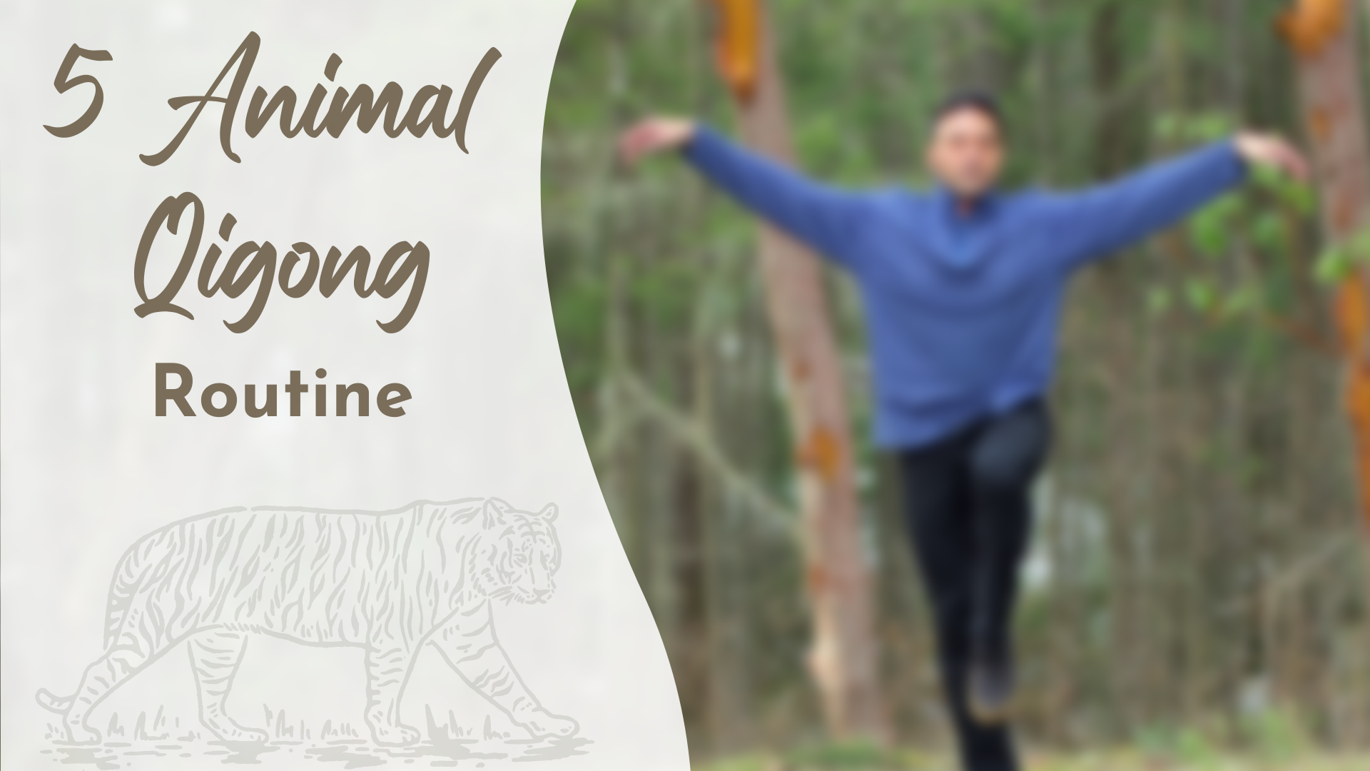 5 Animal Qigong Routine (20 Mins) - 5 Animal Qigong Mini Series - Qi ...