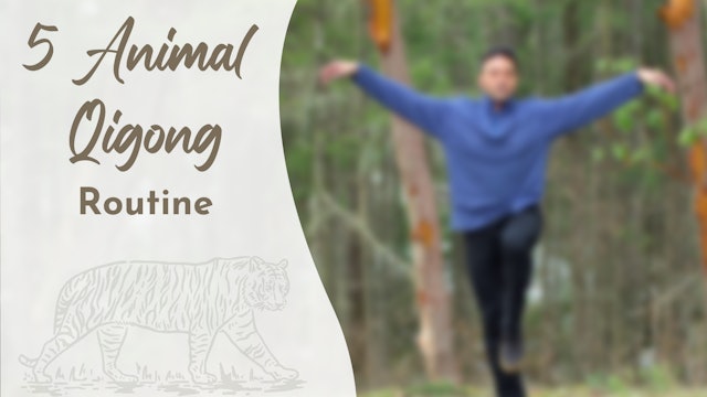 5 Animal Qigong Routine (20 mins)