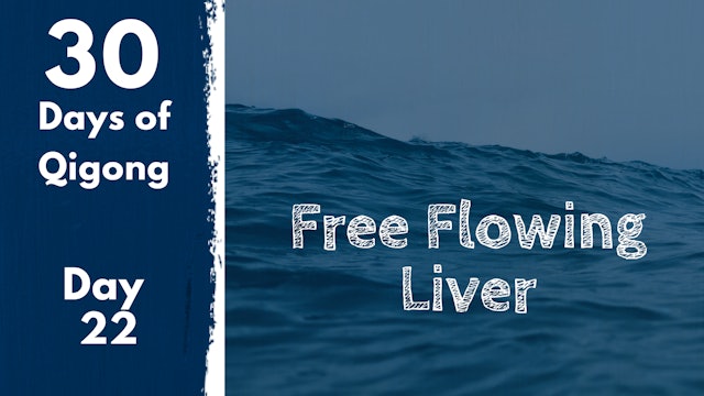 Day 22 Free Flowing Liver (19 mins)