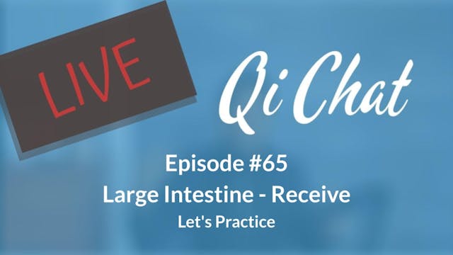 August Qi Chat - Large Intestine - Re...