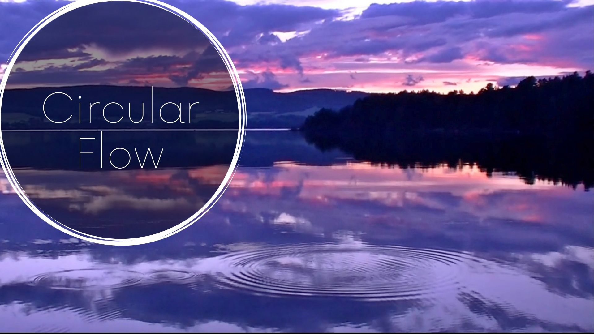 Circular Flow (20 mins)