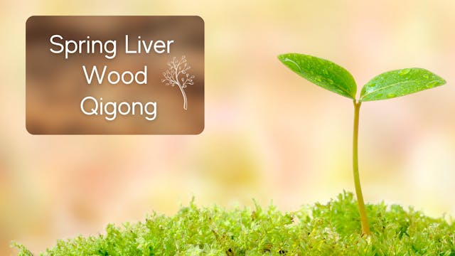 Spring Liver Wood Routine (19 mins)