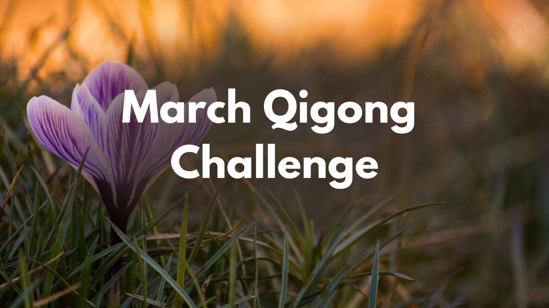 March Qigong Challenge