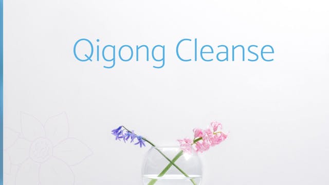 Qigong Cleanse (14 mins)