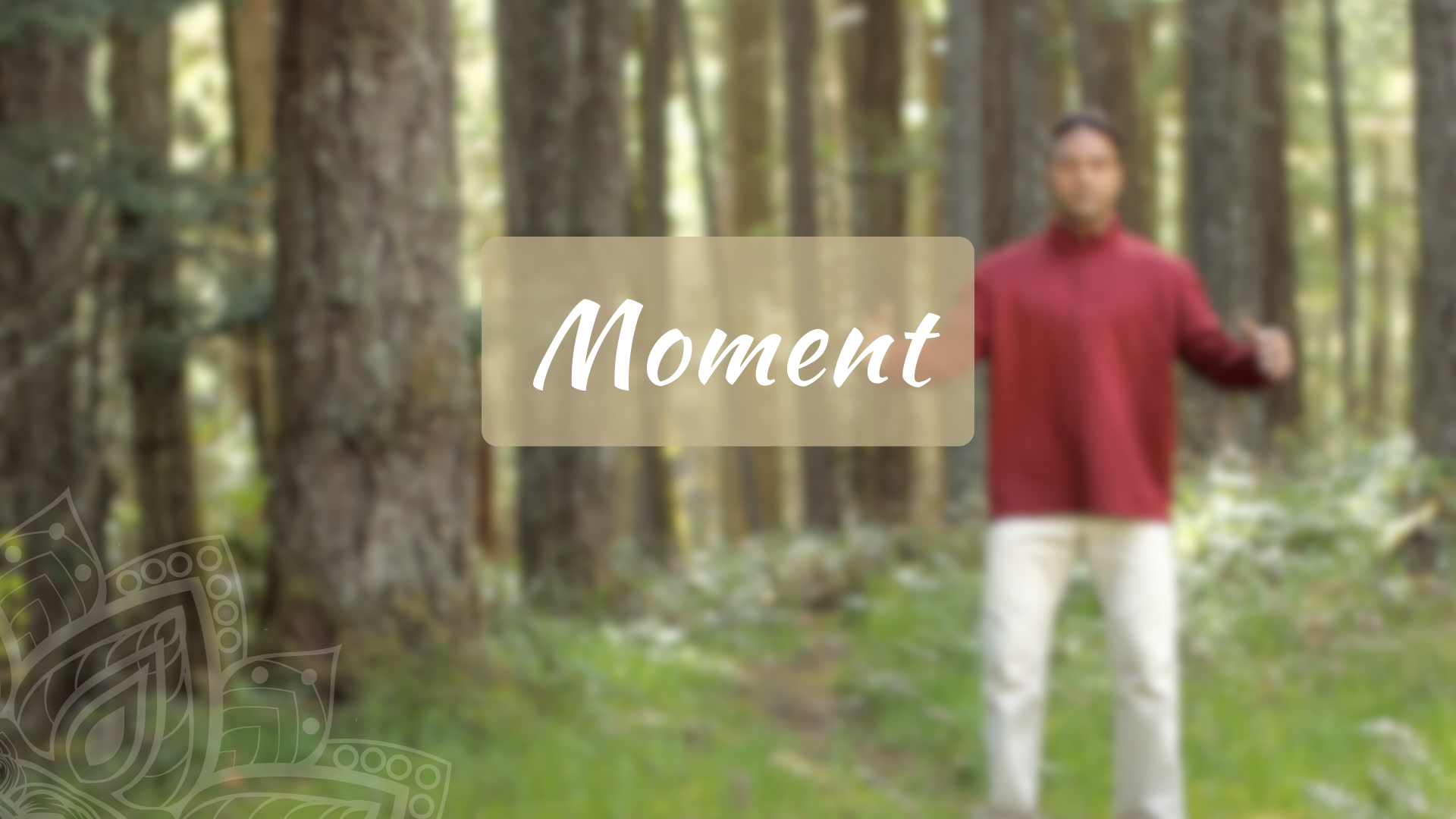 Moment (7 mins)