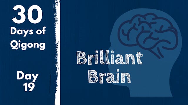 Day 19 Brilliant Brain (22 mins)