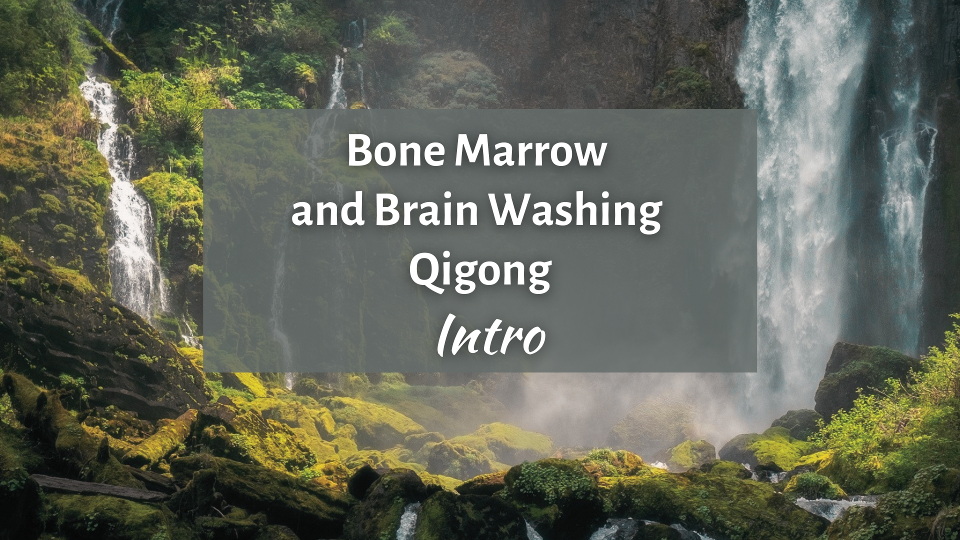 Intro to Bone Marrow and Brain Washing Qigong Routine (3 min)