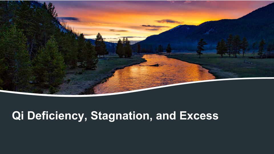 Qi deficiency, excess, and stagnation - Q & A (7 mins)