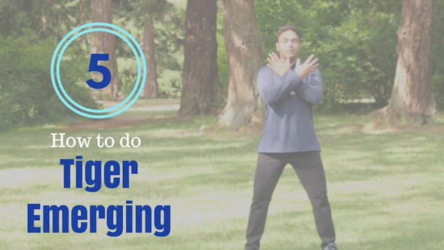 How to do 'Tiger Emerging' (5 mins)