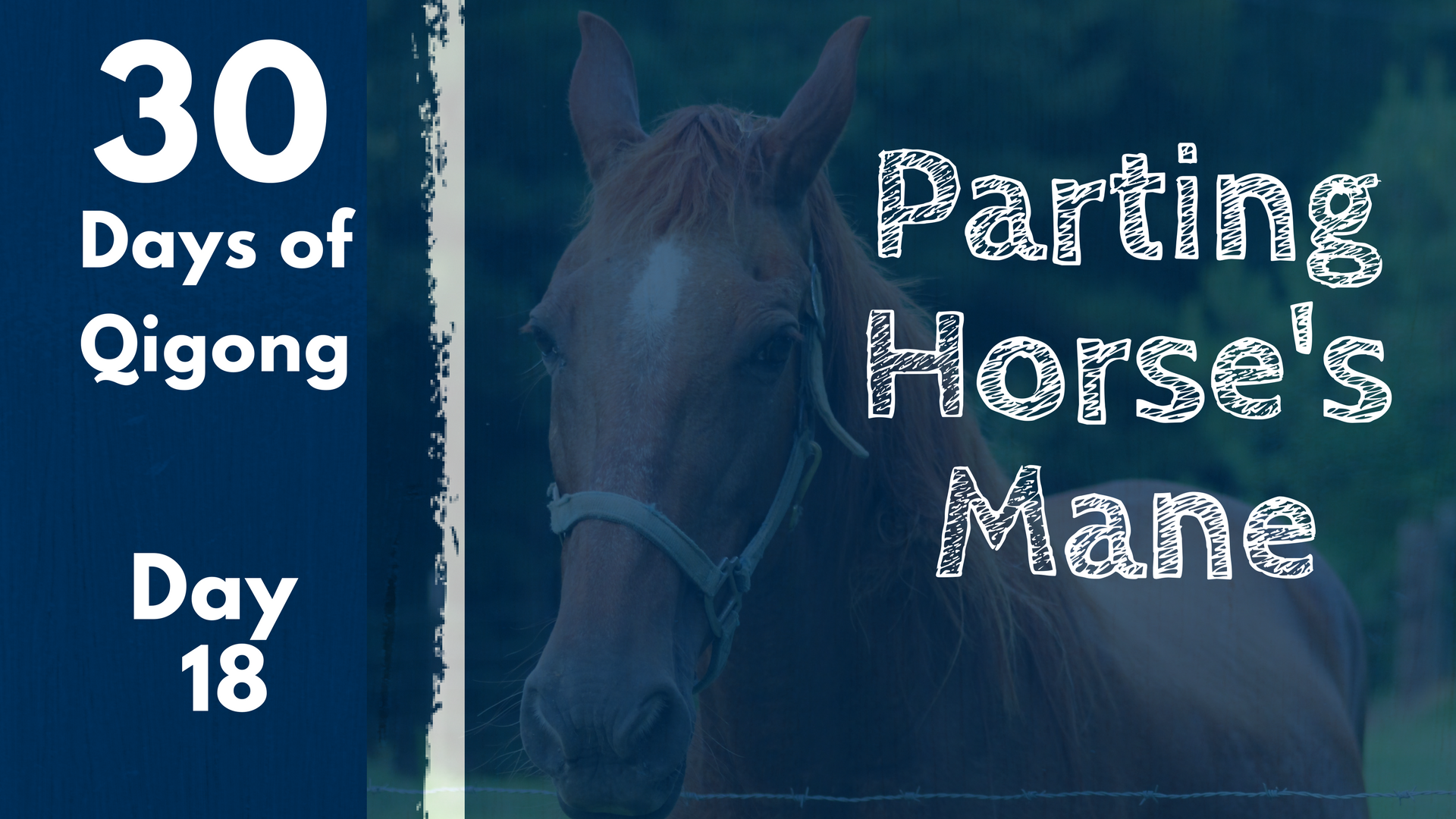 Day 18 Parting Horse's Mane (13 mins)