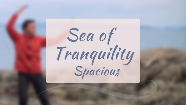 Sea of Tranquility Spacious (14 mins)
