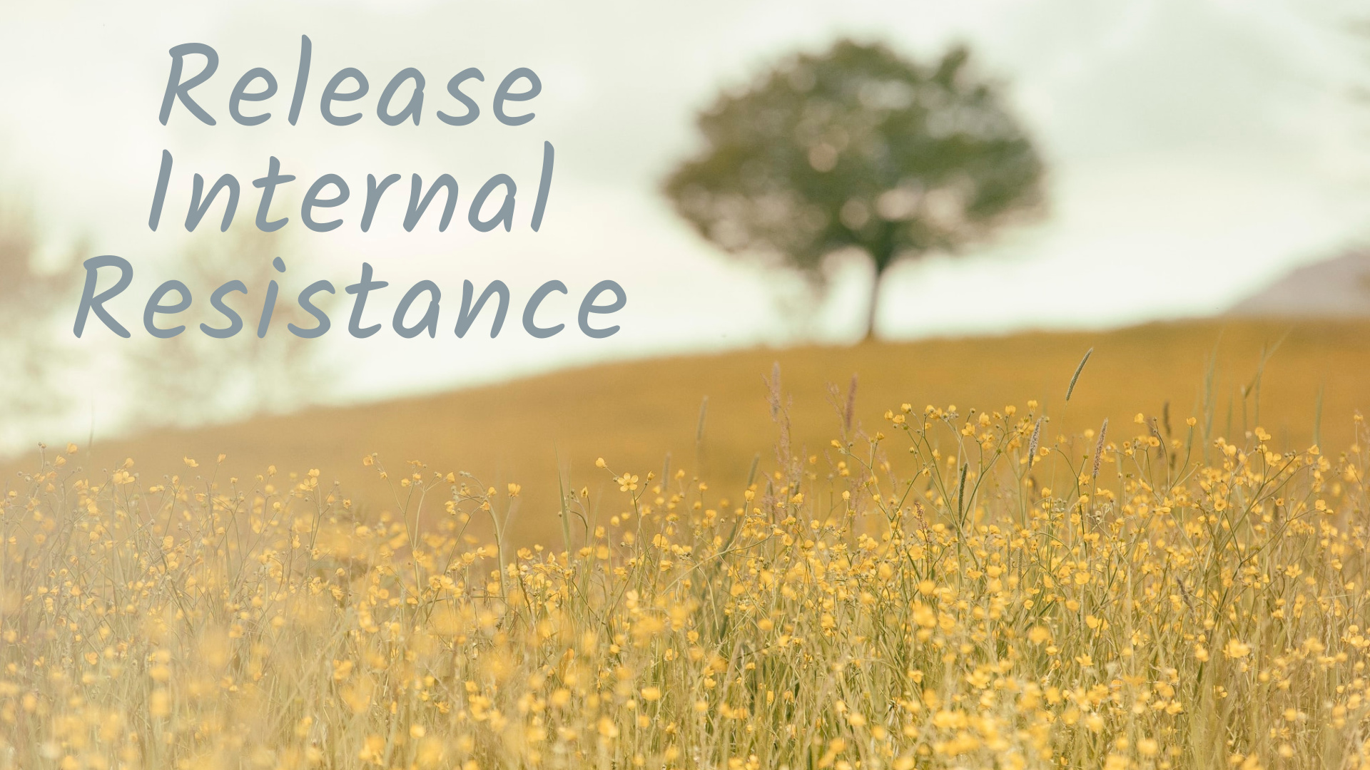 Release Internal Resistance (19 mins)