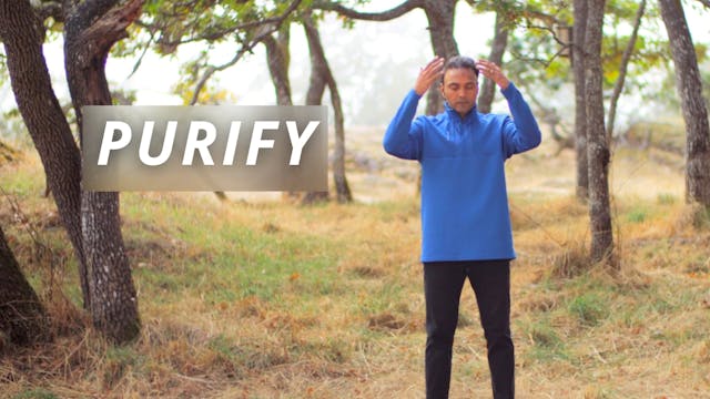 Purify (15 mins)