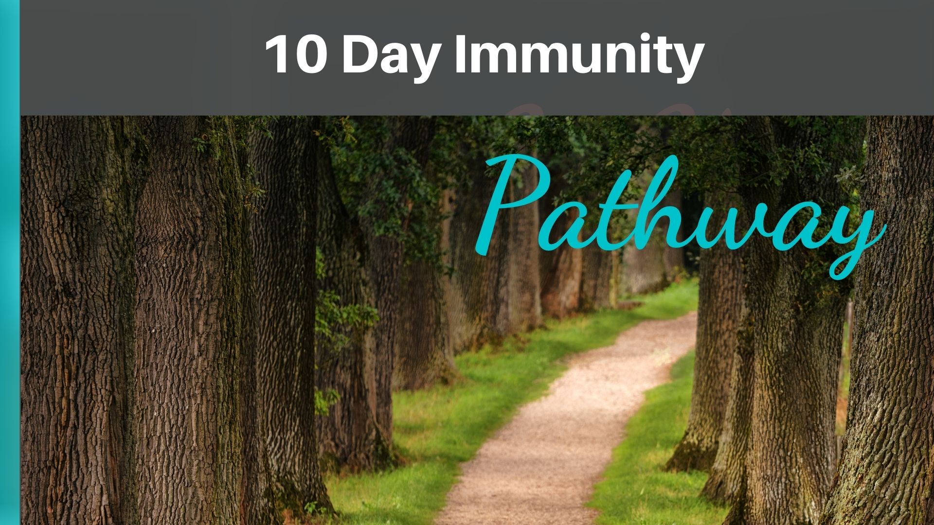 10-day-Immune-system-pathway.pdf