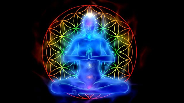 Flower of Life Immersive Meditation E...