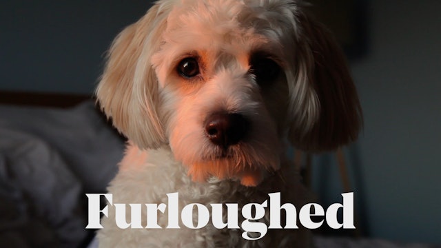 Furloughed - a short film by Dominic Curran