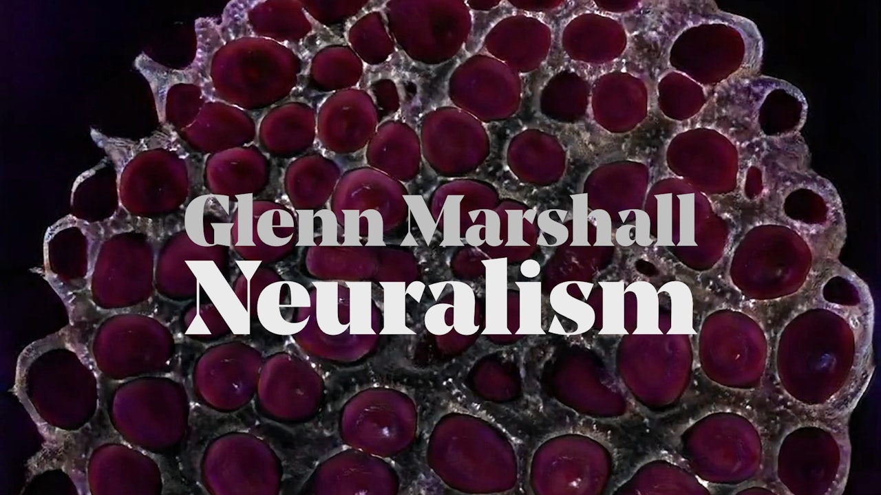 Glenn Marshall: Neuralism