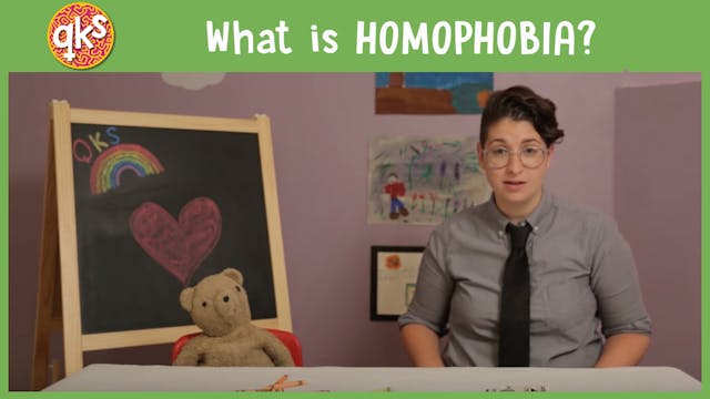 What is HOMOPHOBIA?
