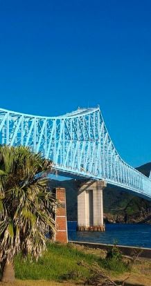 What are some of the different types of bridges?