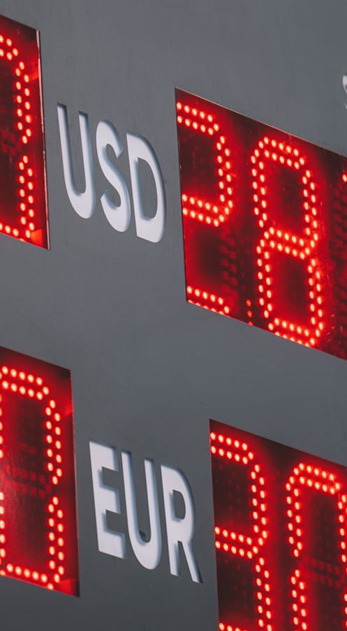 What is a monetary or currency union?